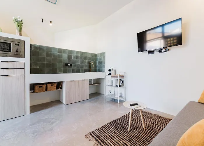 Loft Vinas